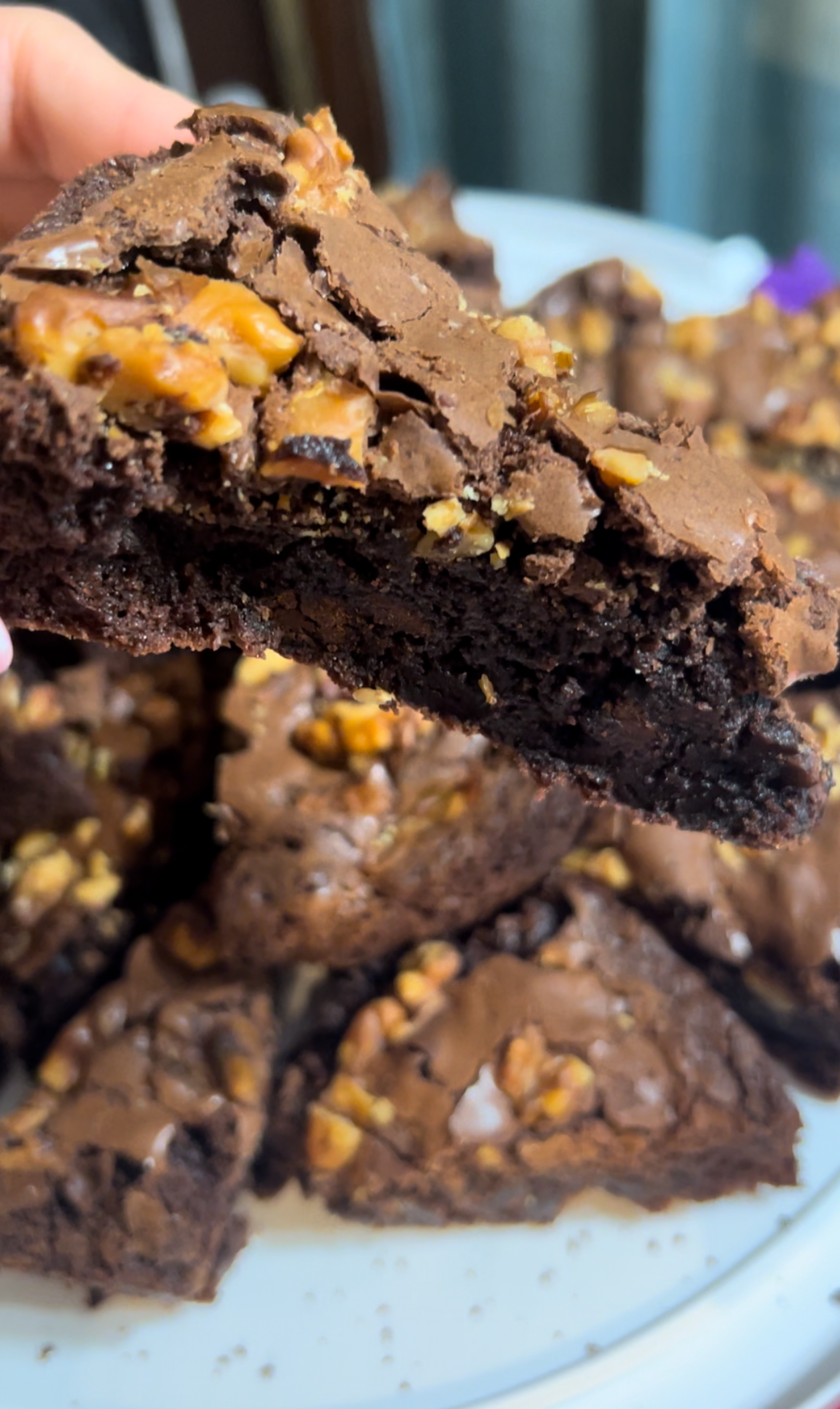 Brownies (dozen) / Brownies (docena)