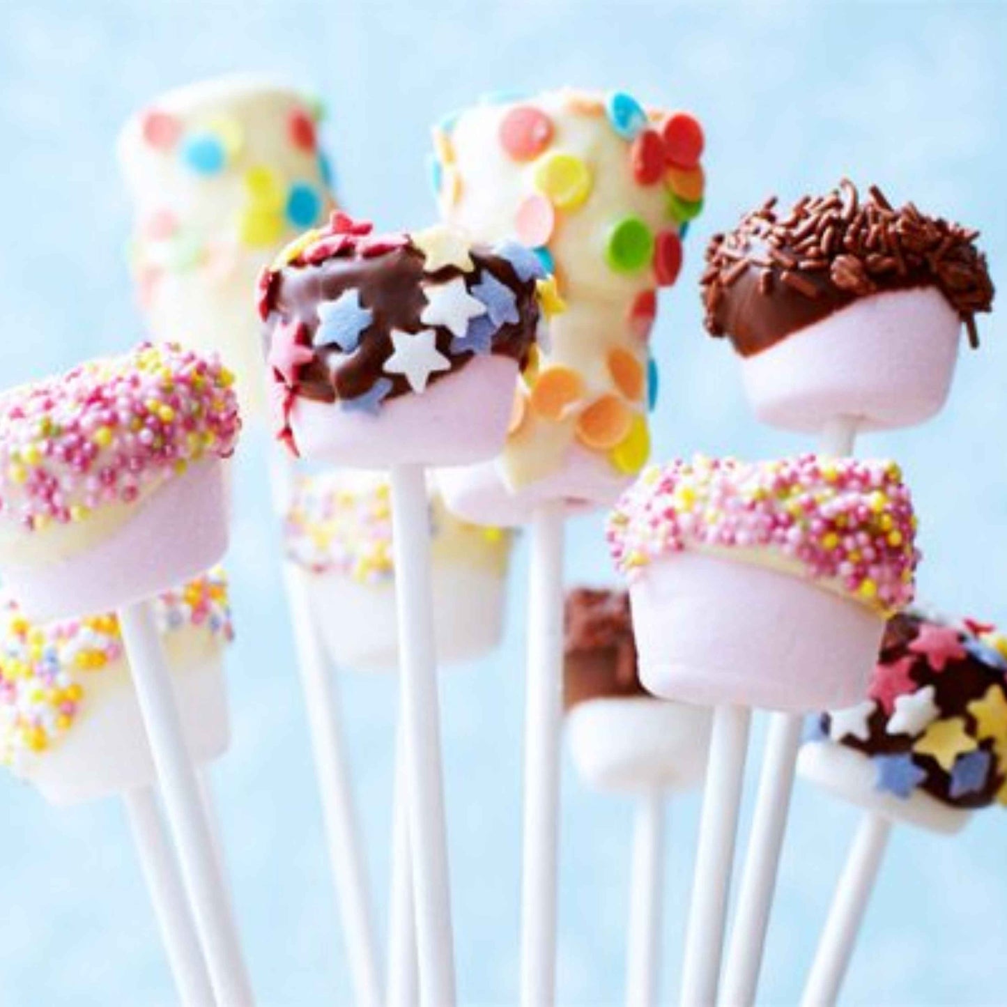 Dipped Marshmallows (dozen) / Marshmallows Cubiertos en Dulce (docena)
